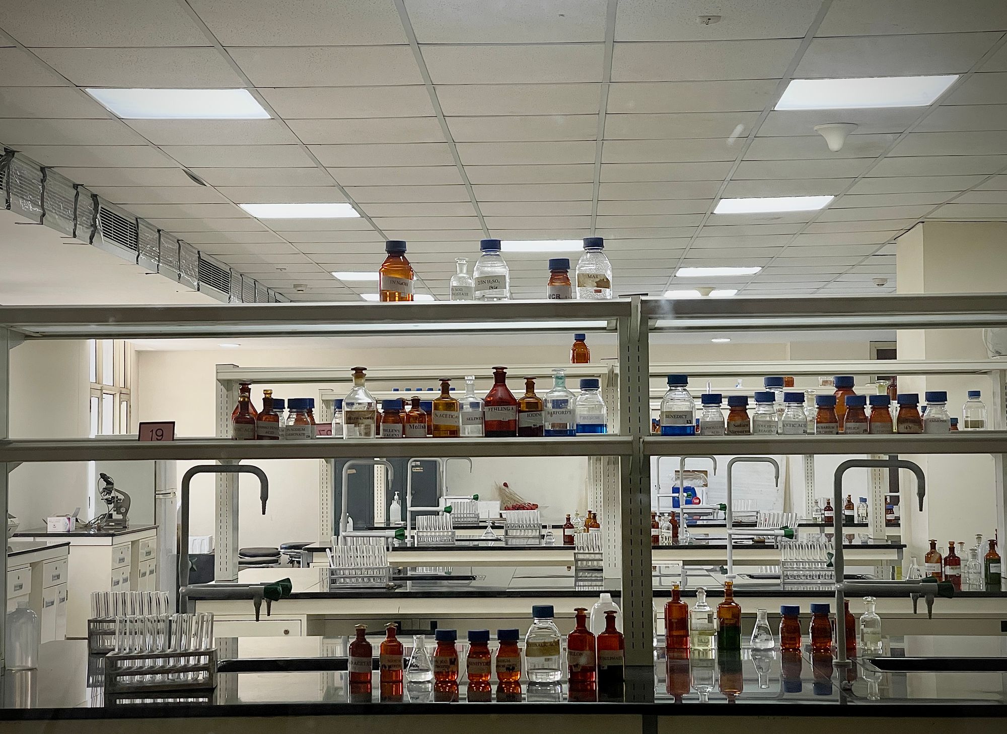 Amber and clear reagent bottles lined up on shelves above laboratory benches with fume extraction